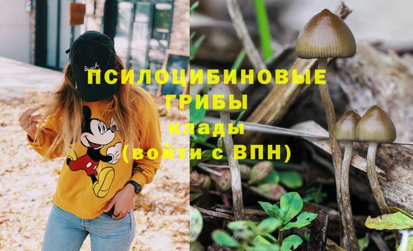 каннабис Алзамай