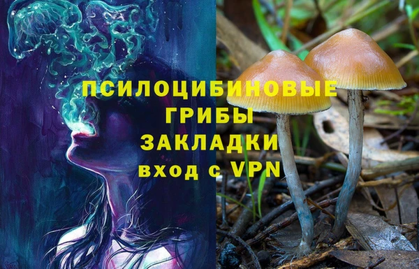 каннабис Алзамай