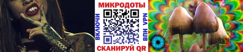 наркота Никольское Псилоцибиновые грибы мицелий